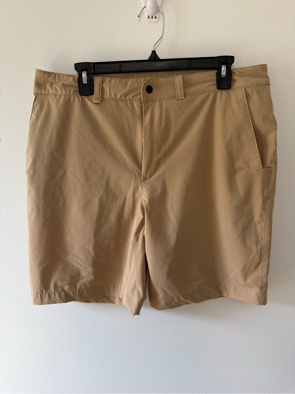 The North Face Men's Tan Flat-Front Shorts
